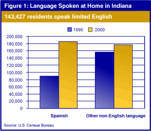 Figure 1: Language Spoken at Home in Indiana