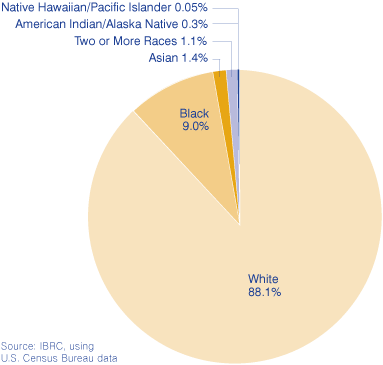 Figure 2: Indiana's Population by Race, 2007