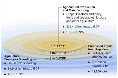 Figure 1: Economic Ripple Effect of Indiana Agriculture