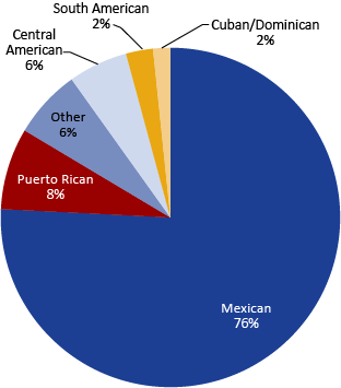 Figure 3: Indiana Hispanic Population by Type, 2010